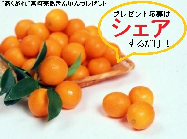 2016-02 プレゼント画像（完熟きんかん）