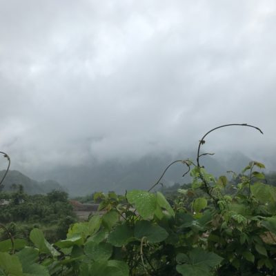 芋焼酎蔵にとっての雨