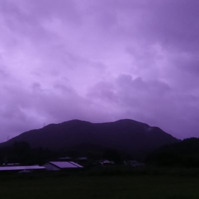 紫色の空