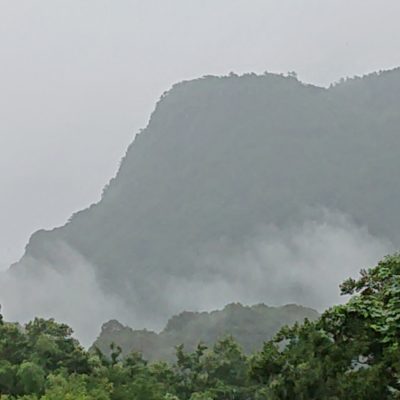 大雨、お見舞い申し上げます。