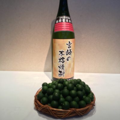 みやざき焼酎ノマナイト！