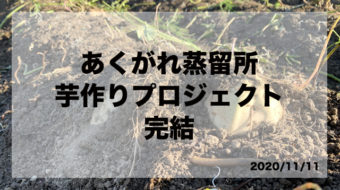 焼酎を芋作りから行うプロジェクト(2020/11/11完結)