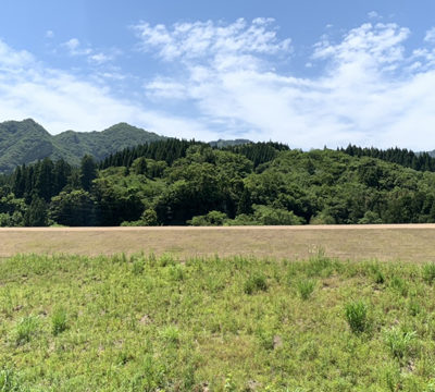 【重金属と農業】焼酎を科学する芋作りとは