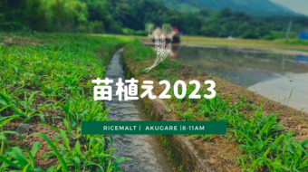 田植え2023