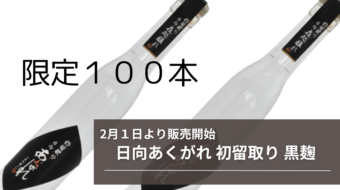 2/1より販売開始（日向あくがれ 初留取り 黒麹）