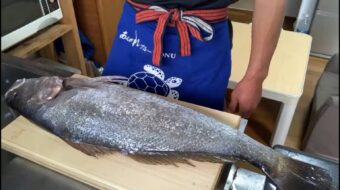 🐟漁師ちゃんねるさん🐟